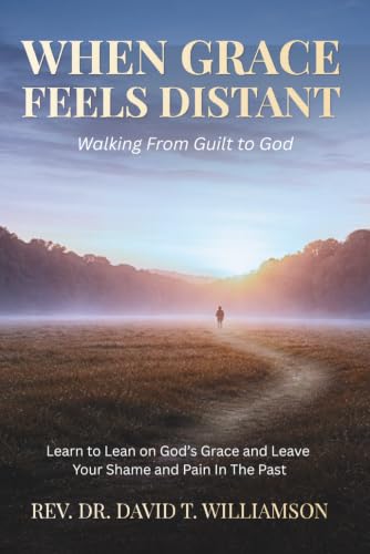 When Grace Feels Distant book cover